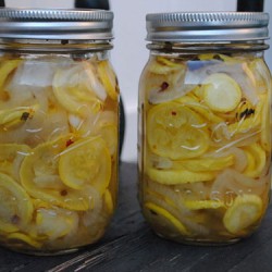 Pickled Squash