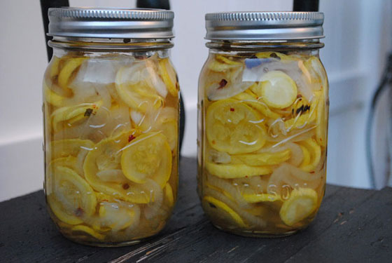 Pickled Squash