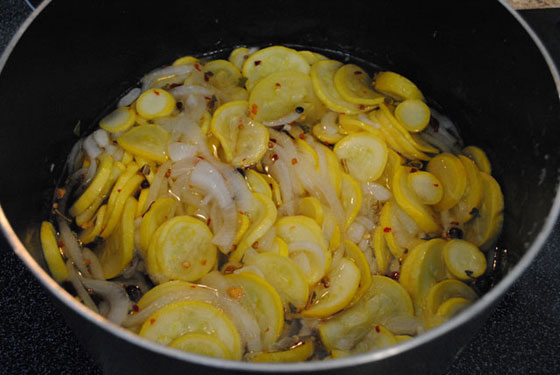 pickling squash