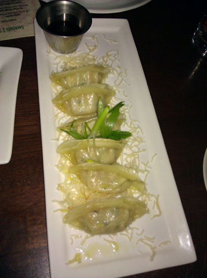 Vegetable Gyoza Pot Stickers