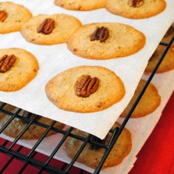 Buttery Pecan Rounds