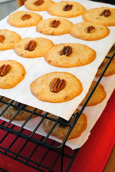 Buttery Pecan Rounds