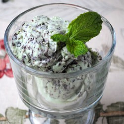 Mint Chocolate Chip Ice Cream