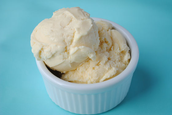 Toasted Coconut Ice Cream