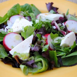 Spring Salad with Fresh Mozzarella and House Dressing