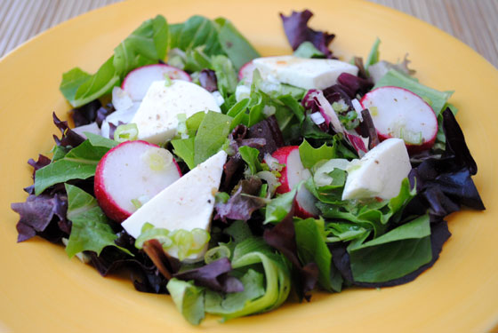 Spring Salad with Fresh Mozzarella and House Dressing