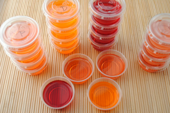 Gourmet Jell-O Shots