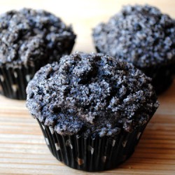 Oreo Muffins