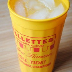 Yellow Hammer in a Gallettes Cup