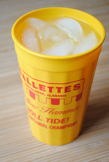 Yellow Hammer in a Gallettes Cup