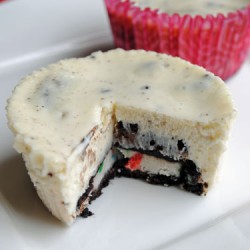 Mini Oreo Cheesecakes