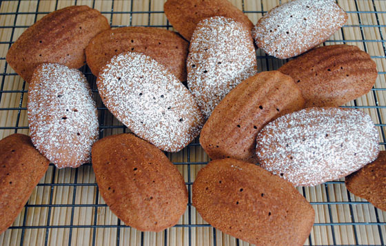 Chocolate Madeleines