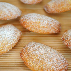 Vanilla Madeleines