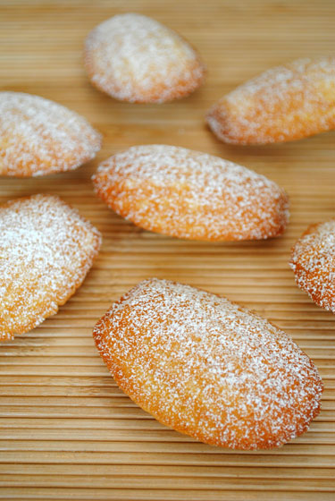 Vanilla Madeleines