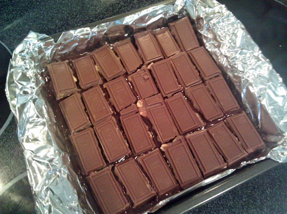 Symphony Bars on Brownie Batter