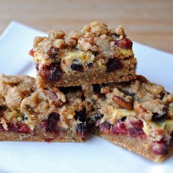 Oatmeal Cranberry Sour Cream Bars | So, How's It Taste?