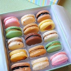 Sucre Signature Macaron Collection