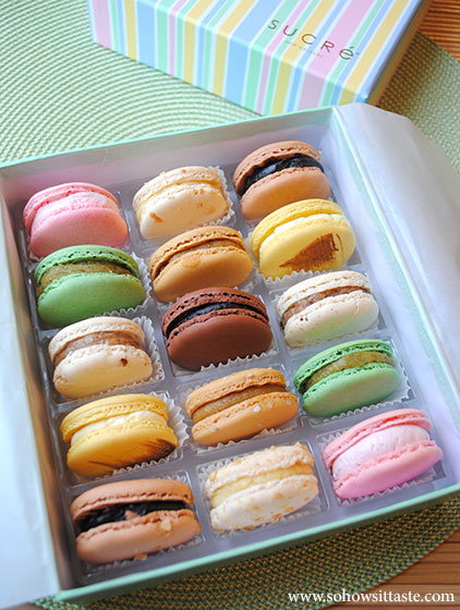 Sucre Signature Macaron Collection