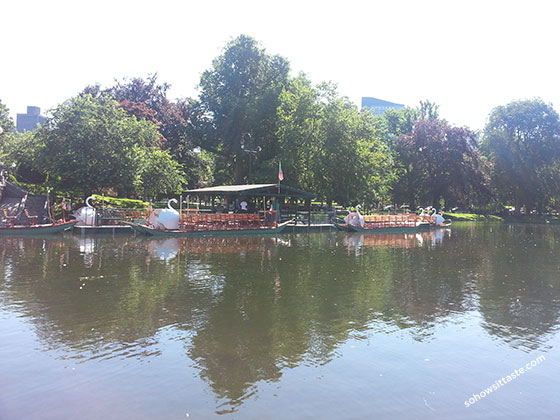 Boston Swan Boats on So, How's It Taste? www.leah-claire.com