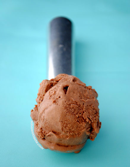 Hot Chocolate Ice Cream by So, How's It Taste? www.leah-claire.com