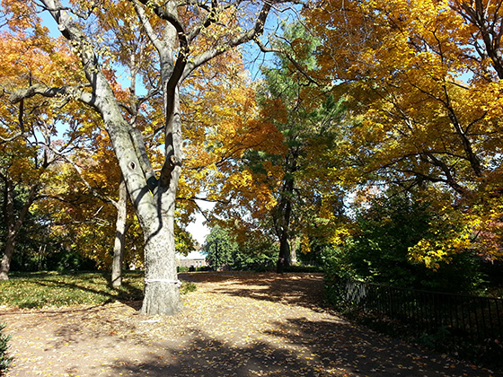 Vanderbilt in the Fall