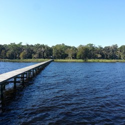 View From Pier