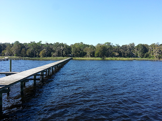 View From Pier