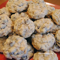 Dark Chocolate Walnut Oatmeal Cookies | So, How's It Taste?