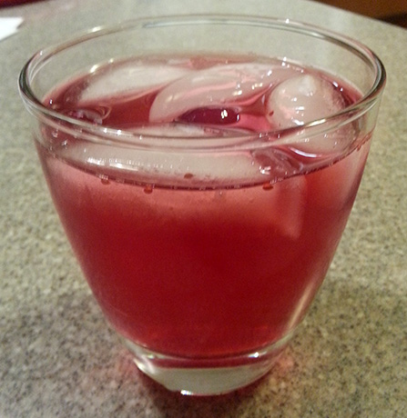 Ginger Cranberry Cocktail by So, How's It Taste?