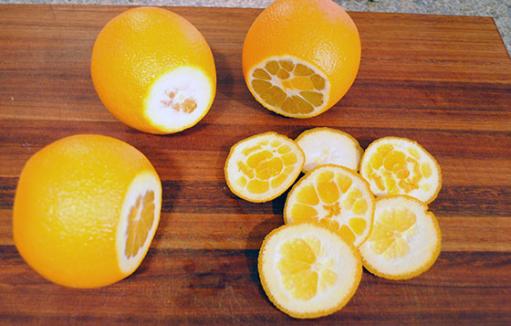 How to Candy Orange Peel | So, How's It Taste?