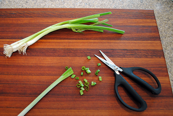 OXO Herb Snips