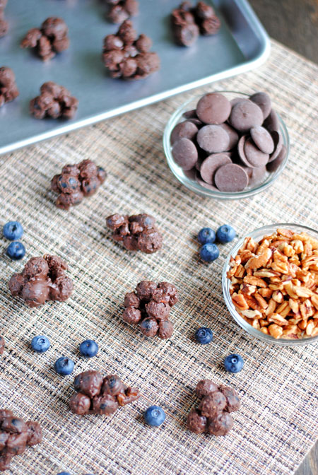 Dark Chocolate Blueberry Clusters