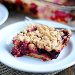 Blackberry Crumb Bars