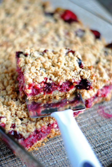 Blackberry Crumb Bars