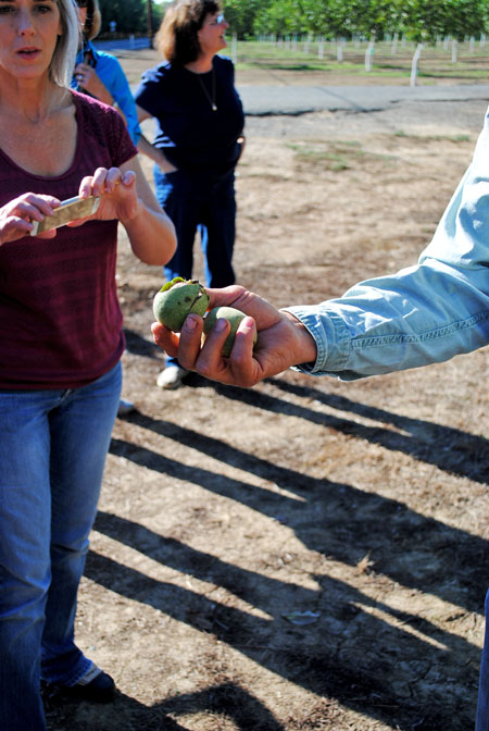 2014 California Walnut Harvest Tour