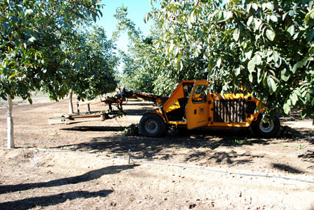 2014 California Walnut Harvest Tour