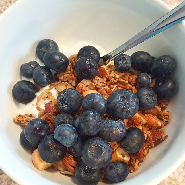 Not-Too-Sweet Granola with Blueberries and Greek Yogurt