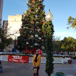 Christmas Tree at Travis Park