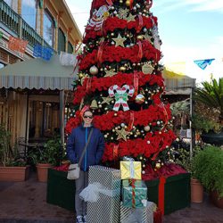 Christmas Tree at Historic Market Square