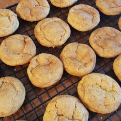 Pumpkin Snickerdoodles