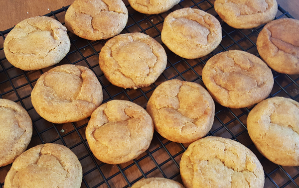 Pumpkin Snickerdoodles