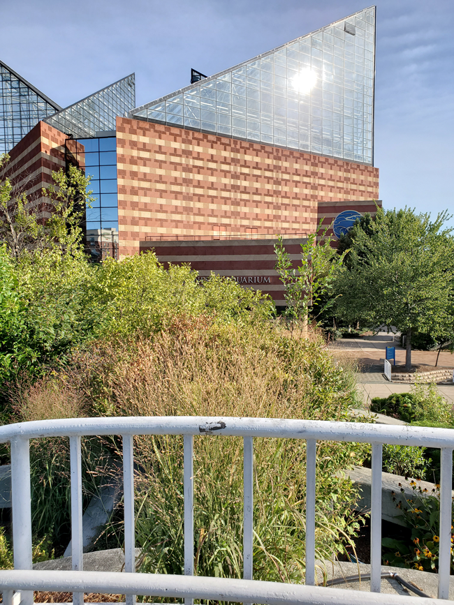 Tennessee Aquarium